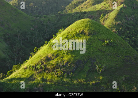 Quitinday verdi colline (carso conico) vicino Camalig nella luce della sera, provincia di Albay, Bicol, Filippine Foto Stock