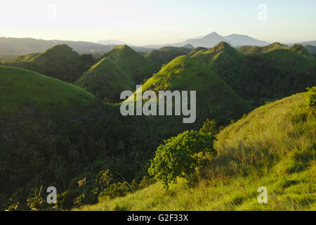 Quitinday verdi colline (carso conico) vicino Camalig nella luce della sera, provincia di Albay, Bicol, Filippine Foto Stock