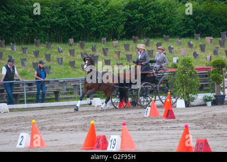 Ostacolo corso di gara internazionale di carrozza pullman racing a Dillenburg in Germania Foto Stock