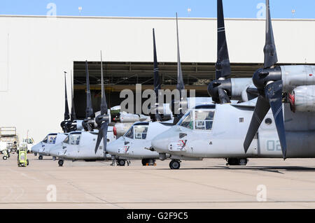 Line-up di U.S. Marine Corps MV-22B Osprey su aeromobili al Marine Corps Air Station Miramar, San Diego, California. Foto Stock