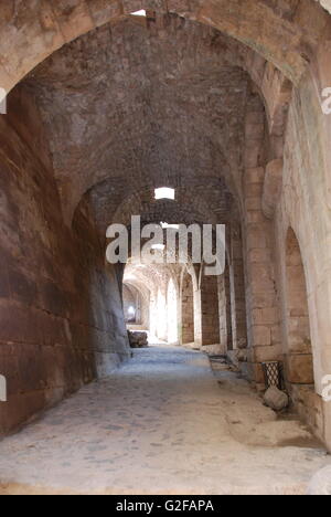 Krak des Chevaliers Cruisaders Fort Vault Foto Stock