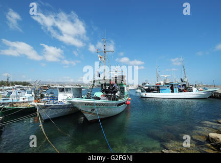 26/05/2016, barche da pesca, legato nel porto di Paphos, Cipro del Sud, Foto Stock