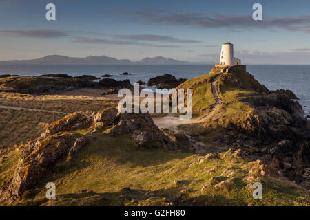 Tŵr Mawr faro sull isola di Llanddwyn, Anglesey, Galles del Nord Regno Unito a sunrise. Foto Stock