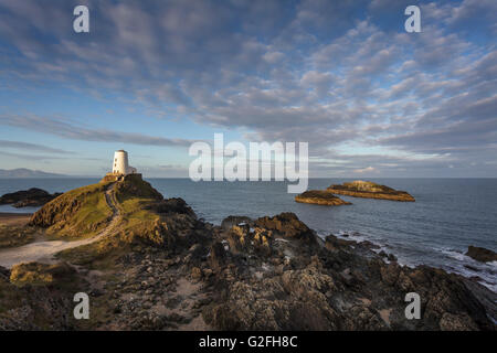 Tŵr Mawr faro sull isola di Llanddwyn, Anglesey, Galles del Nord Regno Unito a sunrise. Foto Stock