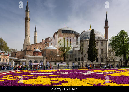 Hagia Sophia dietro un tulipano giardino in Istanbul, Turchia Foto Stock