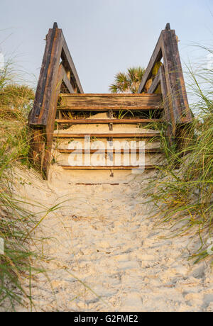 Accesso alla spiaggia attraverso le dune di sabbia in spiaggia di Jacksonville, Florida, Stati Uniti d'America. Foto Stock