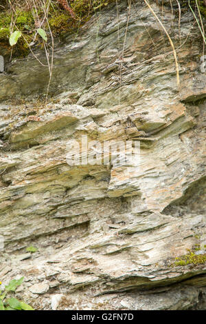 Sfondo di roccia stratificata texture di superficie simile a una corteccia di albero Foto Stock