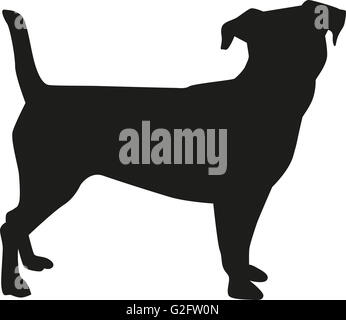 Jack Russell Terrier silhouette Foto Stock