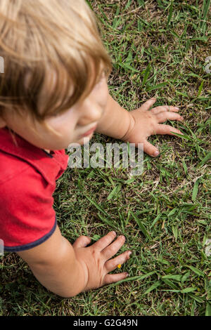 Ragazzo giovane con le mani su erba, ad alto angolo di visione Foto Stock