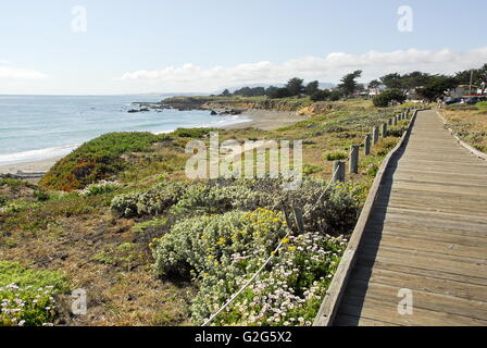 Il Boardwalk sulle scogliere di pietra di luna Beach nella città di Cambria, California Foto Stock