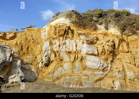 Colorate sul lato scogliera bluff On Moonstone spiaggia nella città di Cambria, California Foto Stock