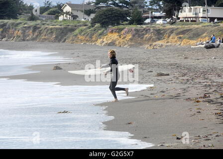 La pietra di luna Beach nella città di Cambria, California Foto Stock