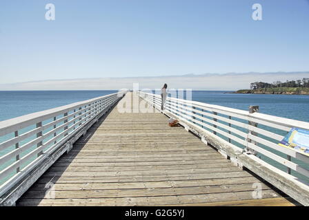 Pesca al largo di San Simeone Pier a William Randolf Hearst membro spiaggia di San Simeone, California Foto Stock