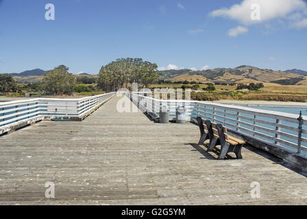 San Simeon Pier a William Randolf Hearst membro spiaggia di San Simeone, California Foto Stock