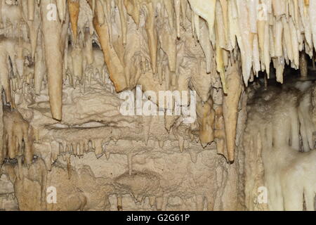 Marroncina stalattiti alla Caverna di Ruakuri in Nuova Zelanda Foto Stock