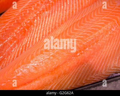 Salmone fresco slice Foto Stock