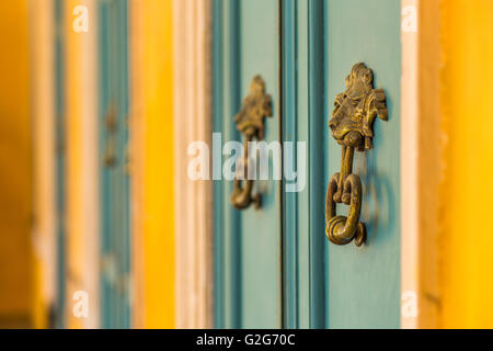 Porta di ferro battenti con la faccia di Lion Foto Stock