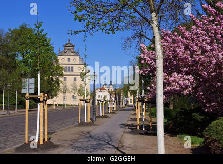 Wittenberg Stadt - Wittenberg, strade della città vecchia Foto Stock