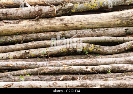 Vecchia pila di legno con tronchi, può essere utilizzato come sfondo. Foto. Foto Stock