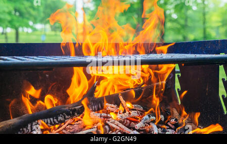 Il falò, il legno e il fuoco nel campo sulla natura del close-up Foto Stock