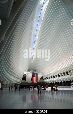Spettatori ammirando l'interno dell'occhio Trasporto Hub, World Trade Center di New York City, NY, STATI UNITI D'AMERICA Foto Stock