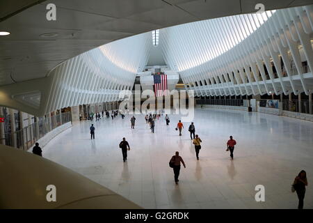 Spettatori ammirando l'interno dell'occhio Trasporto Hub, World Trade Center di New York City, NY, STATI UNITI D'AMERICA Foto Stock