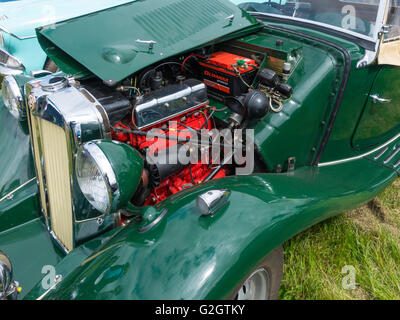 Un classico British Racing Green MG-TA roadster auto sportiva con cofano motore aperto per mostrare il motore Foto Stock