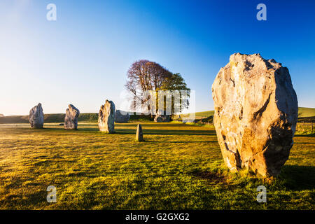 Sarsen le pietre a sunrise in Avebury, Wiltshire. Foto Stock