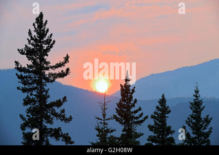 Impostazione di Sun su Montagne Rocciose heavy incendio fumo in aria Kootenay Plains su David Thompson Autostrada Alberta Canada Foto Stock