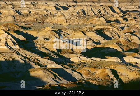 Badlands nella luce del mattino il Parco Provinciale dei Dinosauri Alberta Canada Foto Stock