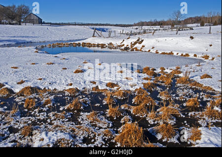 Zona umida d'inverno. Sheguindah. Isola Manitoulin Ontario Canada Foto Stock