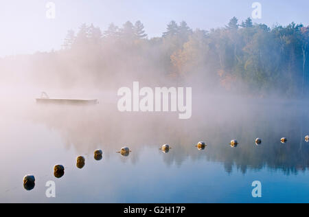 Boe su silenzioso Lago Lago silenzioso parco provinciale Ontario Canada Foto Stock