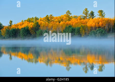 In autunno la riflessione sul Fiume Wanapitei vicino Burwash Ontario Canada Foto Stock