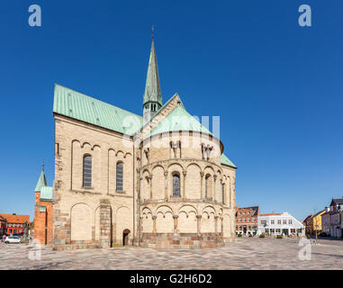 Ribe Cathedral Ribe, Danimarca Foto Stock