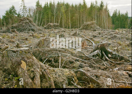 Chiara logging e mucchi di detriti di registrazione sulla Penisola Olimpica a Washington. Foto Stock