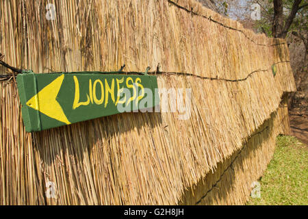 Divertente lionness (per le donne) segno su una capanna con il tetto di paglia bagno vicino a Victoria Falls, Zimbabwe, Africa Foto Stock