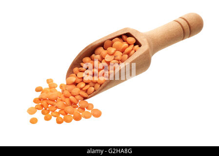 Ingredienti alimentari: heap di orange lenticchie in un cucchiaio di legno, su sfondo bianco Foto Stock