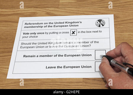 Epsom Surrey, Inghilterra, Regno Unito. Il 30 maggio 2016. Il voto postale per il referendum sul Regno Unito l'adesione all'Unione europea è stata consegnata oggi, prima del giorno della consultazione elettorale il 23 giugno. Foto Stock