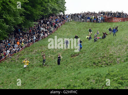 Gloucester, Regno Unito. Il 30 maggio 2016. Formaggio annuale evento di rotolamento a Coopers Hill Gloucestershire Data 30/05/2016 Ref: Credito: charlie bryan/Alamy Live News Foto Stock