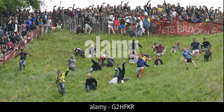 Gloucester, Regno Unito. Il 30 maggio 2016. Formaggio annuale evento di rotolamento a Coopers Hill Gloucestershire Data 30/05/2016 Ref: Credito: charlie bryan/Alamy Live News Foto Stock