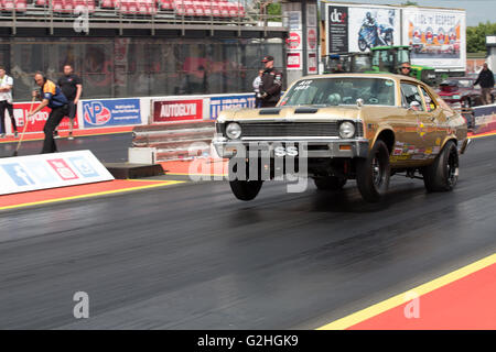 Northants, Inghilterra. 29 Maggio, 2016. Santa Pod Raceway, FIA Evento Principale Maggio 29, 2016 il round 1 della FIA/FIM Campionati Europei, trascinare vetture impegnate durante i turni elimation a Santa Pod Raceway Credito: Jason Richardson / Alamy Live News Foto Stock