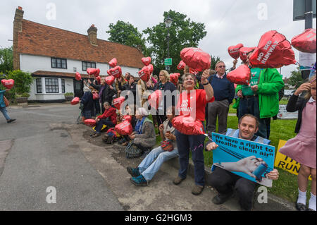 Harmondsworth, Londra, Regno Unito. Il 30 maggio 2016 HACAN e anti-3rd i sostenitori della pista a Harmondsworth 'celebrare' Heathrow il settantesimo compleanno con 70 'nessuna terza pista' palloncini e oltre 750 aerei nero sul villaggio verde, che rappresenta il numero di case che verrebbero distrutte. La gente cammina fuori delle cinque campane Pub che porta a forma di cuore palloncini di elio con il messaggio "Nessuna nuova pista'. Credito: Peter Marshall / Alamy Live News Foto Stock