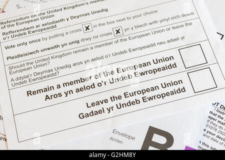 Ue Referendum scrutinio postale o modulo di votazione in gallese e inglese per decidere se il Regno Unito dovrebbe rimanere o lasciare l'Unione europea Foto Stock