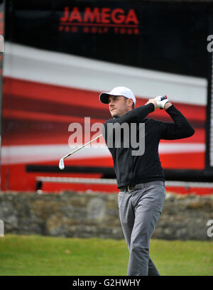 Isola di Purbeck Golf Club, Dorset, Regno Unito, 31 maggio 2016. Tom pettinatore (SFG/Golf et Country Club de Bossey) in azione durante il secondo round del Jamega Pro Golf Tour all'Isola di Purbeck Golf Club, Inghilterra. Credito: David Partridge / Alamy Live News Foto Stock