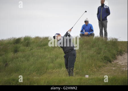 Isola di Purbeck Golf Club, Dorset, Regno Unito, 31 maggio 2016. Jamie Abbott riproduce dalla settima buca durante il secondo round del Jamega Pro Golf Tour all'Isola di Purbeck Golf Club, Inghilterra. Credito: David Partridge / Alamy Live News Foto Stock