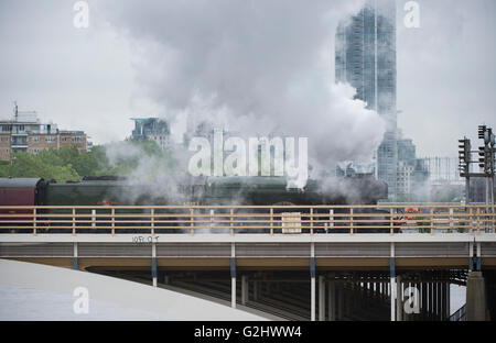 Battersea, Londra, Regno Unito. Il 1 giugno 2016. La più famosa locomotiva a vapore nel mondo, 60103 Flying Scotsman, lascia la stazione di Victoria su una mattina grigia su un sell-out escursione in viaggio sul fiume Tamigi al Grosvenor Bridge in Battersea prima di un tour di chalk downs del Surrey Hills, il primo di due escursioni su questa rotta oggi dal central London terminus. Credito: Malcolm Park editoriale/Alamy Live News. Foto Stock