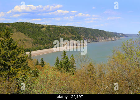 Vista del deserto unspoilled con scogliere e Melvin spiaggia sul Fundy trail in New Brunswick, Canada Foto Stock