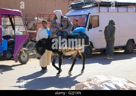 RISSANI, Marocco - 22 febbraio 2016: uomo su asino su strada con la vita andando su in Rissani, Marocco Foto Stock