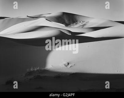 Luci ed ombre sulle dune di sabbia del deserto del Sahara, Marocco Foto Stock