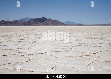 Le Saline con le montagne sullo sfondo, Salt Lake City, Utah, Stati Uniti d'America Foto Stock